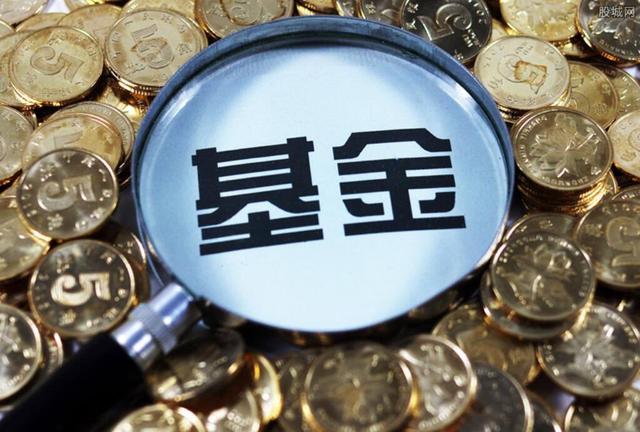 大桥海关查获一起走私濒危鱼翅出境案