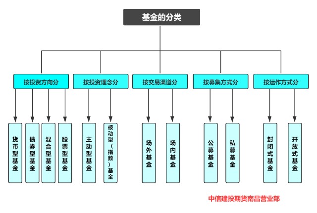 13秒01！闽将林雨薇100米栏国内首秀摘金